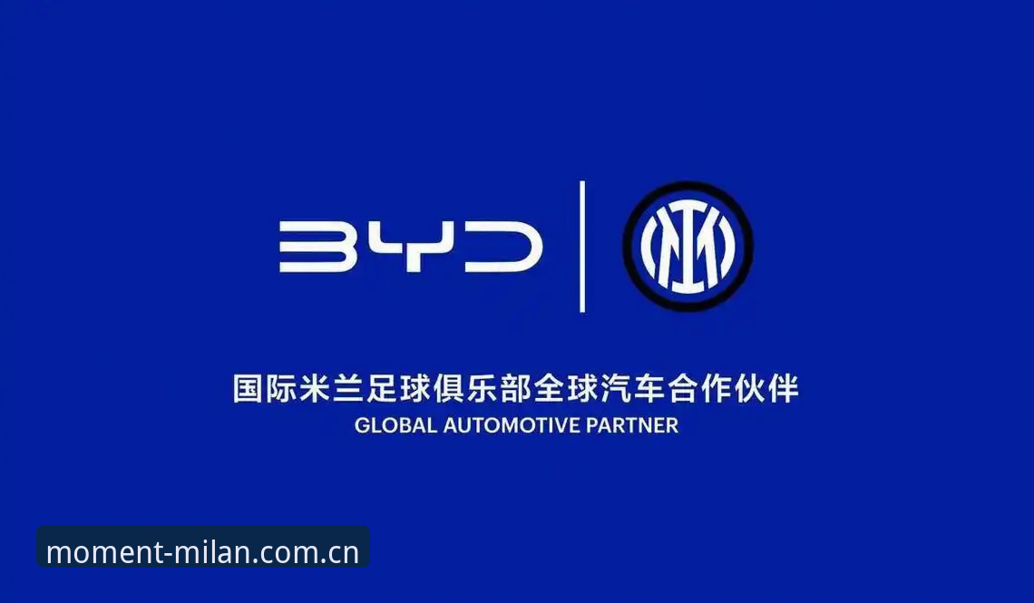 米兰品牌首页攻略 米兰体育官网品牌首页攻略详解